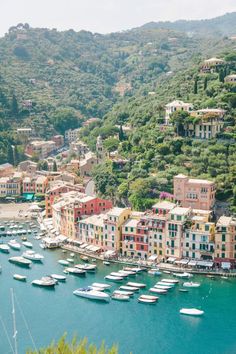 boats are docked in the water next to some buildings and trees on top of a hill