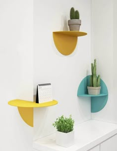 three shelves with plants on them in a white room, one yellow and the other blue