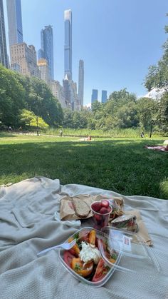 a plate of food is sitting on a blanket in a park with skyscrapers in the background