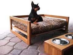 a small dog sitting on top of a couch next to a table with two bowls