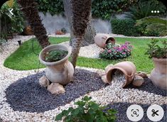 there are many pots and plants in the garden with rocks on the ground next to them