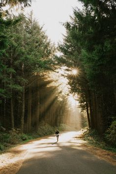 a person running down a road in the middle of a forest with sunbeams