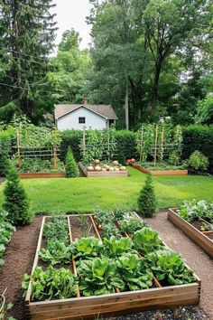 Lush backyard garden with neatly organized raised beds growing a variety of vegetables, framed by tall trees and a small white shed in the background. Gorgeous Vegetable Garden, Veggie Garden Backyard, Backyard Produce Garden, Cute Veggie Garden, Beautiful Vegetable Garden Inspiration, Garden Allotment Ideas, Vegetable Patch Ideas, Backyard Garden Aesthetic, Food Garden Ideas