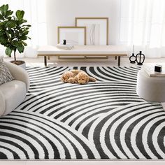 a dog laying on top of a black and white area rug in a living room