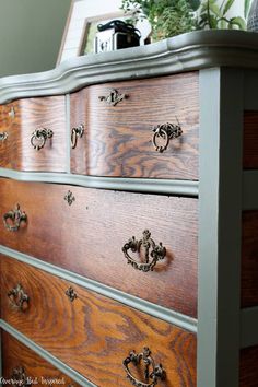 an old dresser with some knobs on it's drawers and a potted plant in the corner