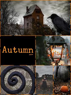 an autumn collage with pumpkins, trees and a black bird in front of a house