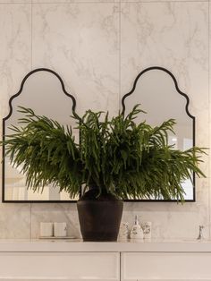 a potted plant sitting on top of a white dresser in front of a mirror