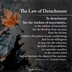 a leaf floating on top of water in front of a quote from the law of debatment