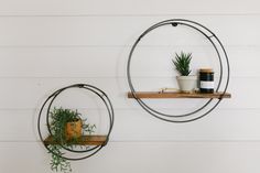 two circular metal shelves with plants on them against a white painted wall, one holding a potted plant and the other hanging from a wooden shelf