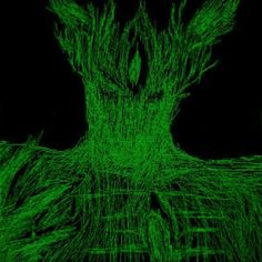 an abstract drawing of a tree in green