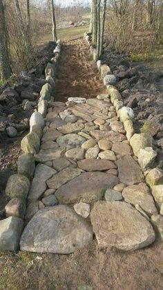 an image of a stone path in the woods