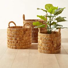 three woven baskets with plants in them sitting on a wooden floor next to each other