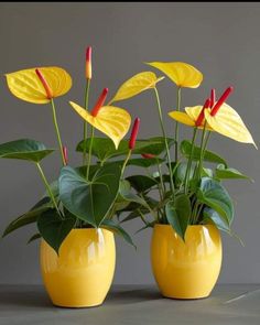 two yellow vases filled with flowers on top of a gray table next to each other