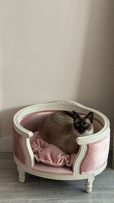 a siamese cat is sitting in a pink bed on the floor next to a wall