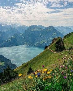 the view from the top of a mountain with flowers and mountains in the foreground