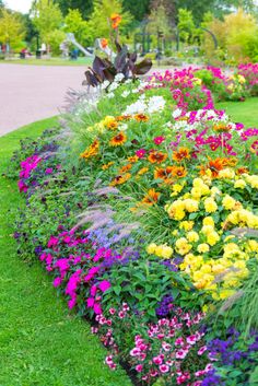 colorful flower garden in the middle of a park