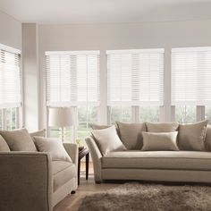 a living room filled with furniture and windows covered in white blinds on top of them