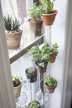 the plants are hanging on the glass shelves in the window sill, which is also filled with potted plants