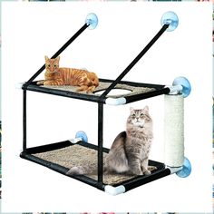 Cat Window Perch, Cat Hammock for Window and Double Layered cat Window beds, Safety Saving Space cat Hammock, Enjoy Sunbathin Window Beds, Window Shelves