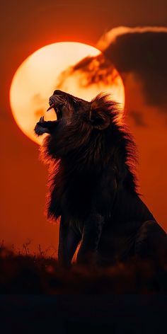 a lion roaring at the sun with it's mouth open in front of an orange sky