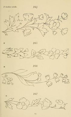 four different types of flowers are shown in this drawing