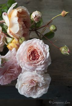 some pink flowers are sitting on a wooden table and there is no image here to provide a caption for