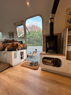 a dog laying on top of a bed next to a window in a living room