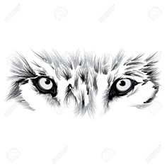 ok haganlo Wolf Eye Drawing, Wolf Eye Tattoo, Wolf Face Tattoo, Tattoo Bicep, Lup Singuratic, Tattoo Wolf, Beautiful Wolf, Wolf Eyes, Wolf Face