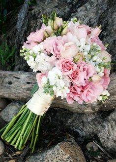 a bridal bouquet sitting on top of a tree branch in front of some rocks