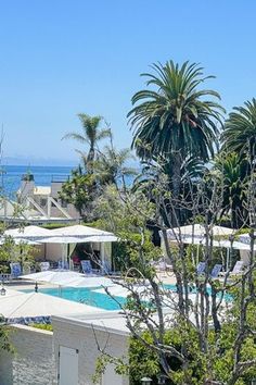 an outdoor swimming pool surrounded by palm trees and the ocean in the backround