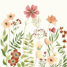 watercolor flowers and green leaves on a white background