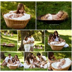 a collage of photos shows a mother and her two babies in a wicker basket