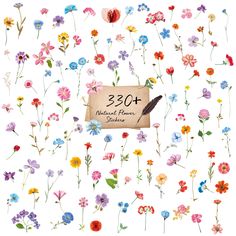 an image of flowers with a sign that says 350th national flower exhibition on it