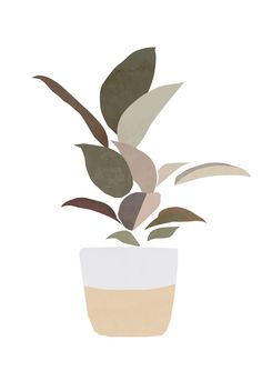 a potted plant with leaves in it