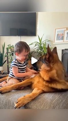 a little boy sitting on top of a bed next to a large german shepard dog