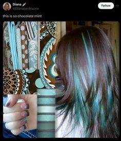 twitter post colors chocolate mint Hair Dye Brunette, Hair Stamps, Chocolate Chip Mint, Mint Hair, Teal Hair, Chocolate Hair, Twitter Post, Chocolate Mint, Mint Chocolate Chips