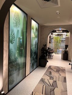 an office hallway with large glass windows and plants on the wall next to each other