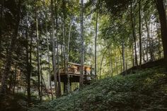 a tree house in the woods surrounded by trees