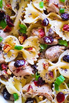 pasta salad with chicken, cranberries and spinach