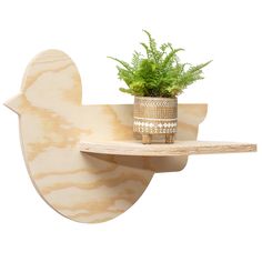 a potted plant sitting on top of a wooden shelf next to a wall hook