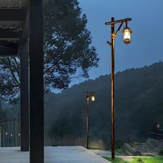 two street lamps sitting on the side of a road next to a forest at night