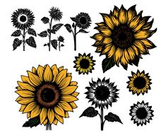 sunflowers are shown in black and yellow colors, with leaves on each side