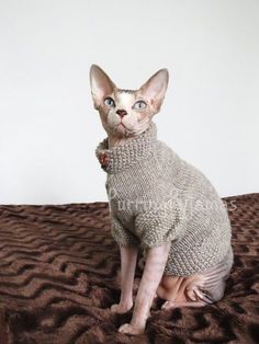 a hairless cat sitting on top of a bed wearing a knitted turtle neck sweater