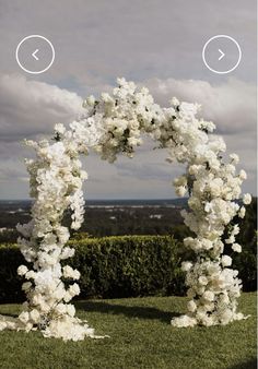 an arch made out of white flowers on top of a lush green field with clouds in the background