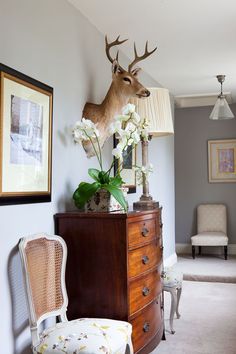 a deer head mounted on the wall next to a dresser with flowers and a chair