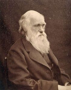 an old black and white photo of a man with a long beard wearing a suit