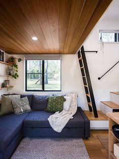 a blue couch sitting under a window next to a wooden floor and wall mounted bookshelf