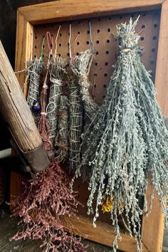 several different types of plants are hanging on a wooden frame with pegs in the background