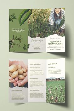 two fold brochure with images of potatoes and green beans in the middle, on a light green background