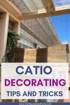 interior of a catio Catio Cat Furniture, Catio Cat Decor, Outdoor Catio Cat Enclosure, How To Build A Catio For Cats, Catio Idea, Indoor Cat Room Ideas, Cat Catio